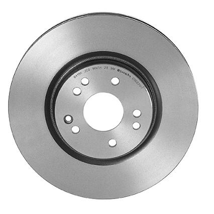 Mercedes Brembo Disc Brake Rotor - Rear Passenger Side (320mm) 1294211812